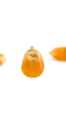 Close-up corn kernels