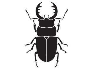 STAG BEETLE SILHOUETTE