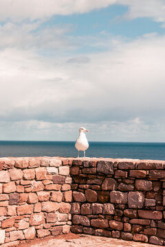 Pointe du Raz