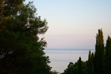 A peaceful seascape with calm water and soft shades of the evening sky. Pine branches and tall cypress trees create a beautiful natural frame for the horizon.