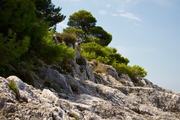 Rocky coast with pine trees and shrubs against the blue sky. The natural landscape conveys the Mediterranean atmosphere and the tranquility of wild nature.