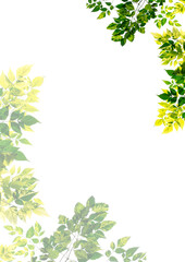 Naklejka premium vector border png 