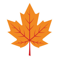 A vibrant orange maple leaf with red veins on a white background