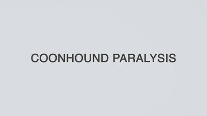 Coonhound paralysis word diagnosed with a stethoscope held in hand on a white background, illustrating canine neurological disorder, medical diagnosis, veterinary care, and awareness