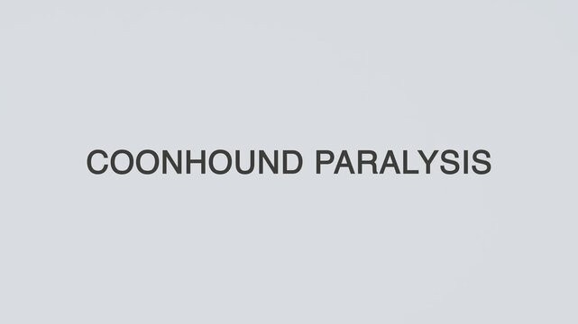 Coonhound paralysis word diagnosed with a stethoscope held in hand on a white background, illustrating canine neurological disorder, medical diagnosis, veterinary care, and awareness