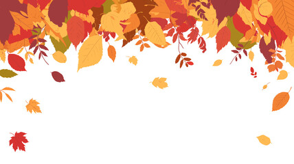 Autumn Leaves Falling Background with Vibrant Colors for Thanksgiving and Seasonal Greetings Vector Illustration Template