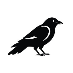 A black silhouette of a bird standing on a surface looking to the side