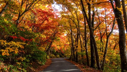 Obraz premium Autumn foliage in a forest path