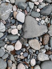 pebbles of crystalline rocks. The rock garden
