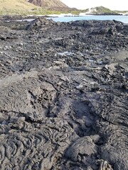 volcanic landscape in the Galapagos
