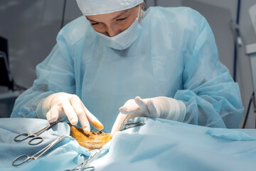 A veterinary surgeon, wearing scrubs and gloves, is focused on operating on a cat. The procedure...
