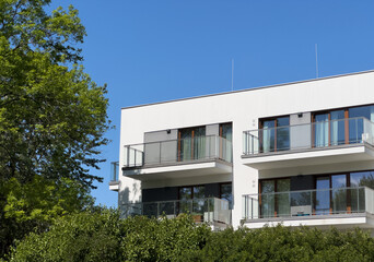 Tree grows beside modern architecture. Green balcony plants soften residential condominium facade,