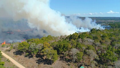 Fototapeta premium Aerial view of a wildfire engulfing a landscape