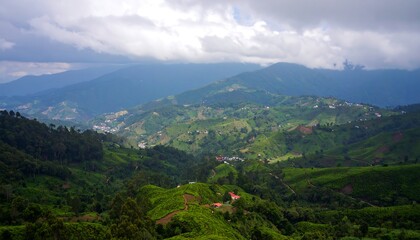 Misty mountain valley