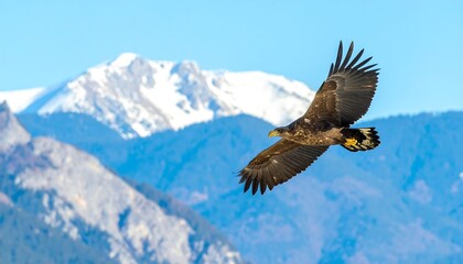 Majestic eagle soaring over snowy peaks