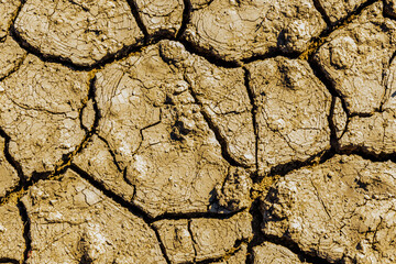 Background of the cracked dry barren soil. Global warming concept