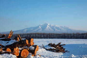 Winter farm with stacked wood and Sharidake