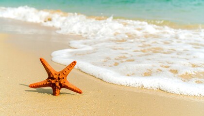A starfish sits on a sandy beach, bathed in sunlight, with gentle ocean waves
