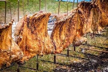 Traditional ground fire ribs, a typical and iconic gaucho barbecue prepared in a rustic, original,...