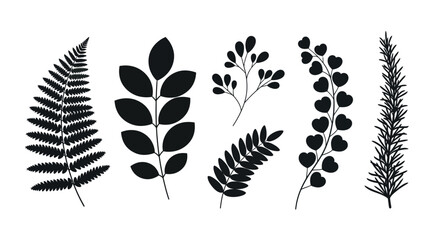 Botanical leaves vector set nature plant elements