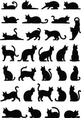 Cat silhouettes in various poses, sitting, standing, walking, stretching, lying down, black vector icons, animal behavior, design reference, white background