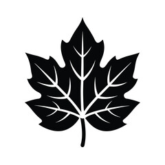 Vector art of maple leaf isolated