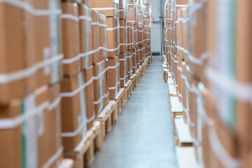 Holzpaletten mit Kartons