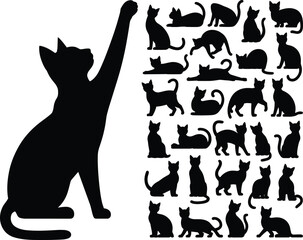 Silhouettes of cats, sitting, standing, stretching, lying down, raised paw, feline poses, black shapes, animal posture, design element