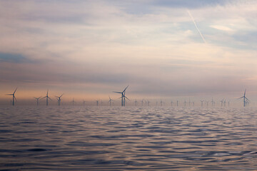 An electric farm made of wind turbines in the open sea.