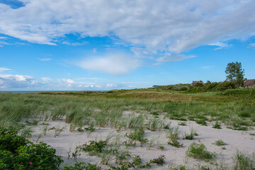 Natural Dune Landscape on the Baltic Sea Coast - Wustrow, Germany