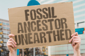 Fossil Ancestor Unearthed. PALEONTOLOGY. PLIOCENE. RIFT. PRIMATE. BIPEDAL. EXCAVATION. SEDIMENT.