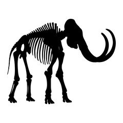 An imposing silhouette of a mammoth skeleton, a stark reminder of prehistoric life, isolated, its massive tusks and skeletal frame telling a silent story of a bygone era.  © Samo.mhn
