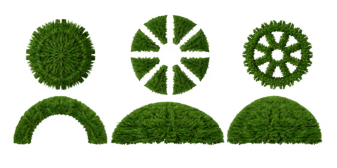 Green grass shapes isolated on a transparent background