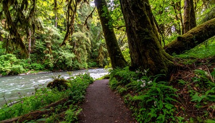 Obraz premium Lush forest path alongside a rushing river