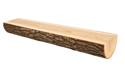 Half log showing wood grain and bark on transparent background