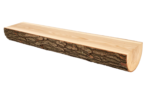 Half log showing wood grain and bark on transparent background