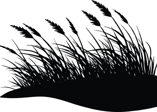 Beach Grass On Dunes Silhouette | Dune Beach Grass Vector Art