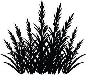 Obraz premium Grass With Rosemary Stems Silhouette | Rosemary Stems Grass Vector Illustration