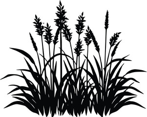 Obraz premium Grass With Wild Mint Silhouette | Wild Mint Grass Vector Clipart