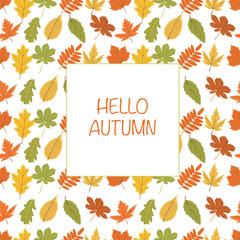 Autumn themed card with collection of different leaves on beige background with text. Vector illustration for social media, banners