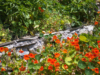 The Old town of Skiathos, Sporades, Thessaly, Greece
