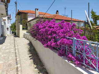 The Old town of Skiathos, Sporades, Thessaly, Greece