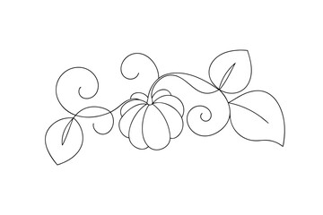 Minimalist continuous line drawing a pumpkin with swirling vines leaves Continous line