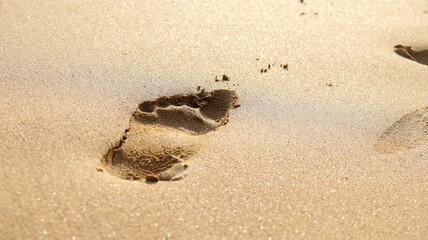 Pegada marcada na areia de uma praia brasileira, simbolizando descanso, tranquilidade e conexão com a natureza do litoral. Fernando de Noronha, PE em 18 Ago 25