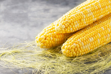 Fresh yellow corn on the cob, close up