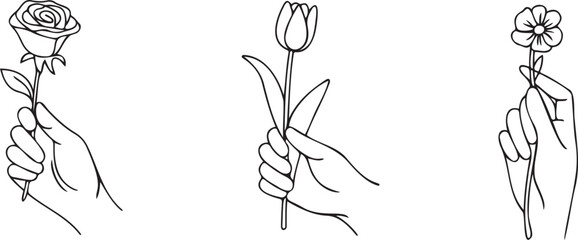 Hand Holding Rose Tulip Flower Illustration