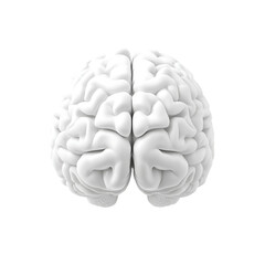 human brain rendered in white, isolated on a blank background