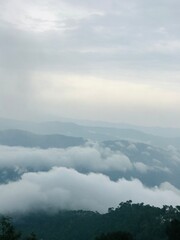 Fototapeta premium misty morning in the mountains