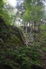 Sentier Falaise La Rouche 17 Août 2025
