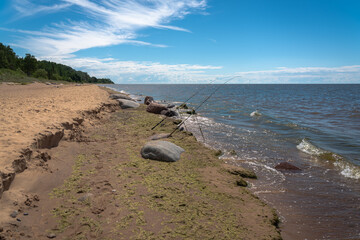 Baltic Sea beach with fishing rods © talavietis